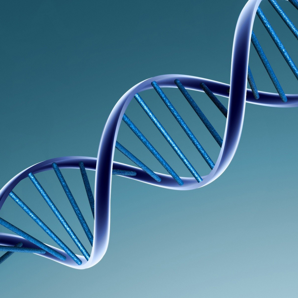 DNA Helix Image